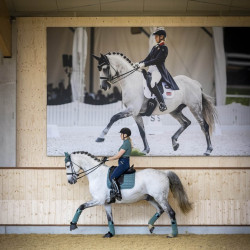 Tapis dressage LeMieux Carbon Mesh Square Sage Bleu
