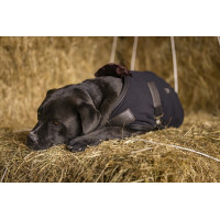 Couverture polaire Diego & Louna Teddy Noir Couverture polaire Diego & Louna Teddy Noir