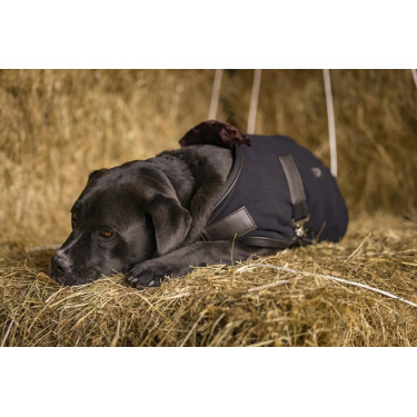Couverture polaire Diego & Louna Teddy Couverture polaire Diego & Louna Teddy