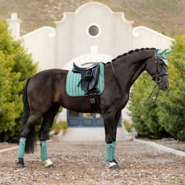 Tapis LeMieux Loire Memory Dressage Square Sage Bleu