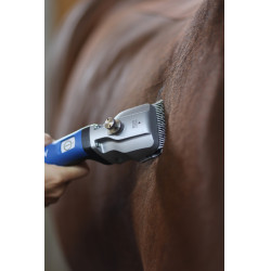 Tondeuse Aesculap Bonum cheval sans fil Bleu Tondeuse Aesculap Bonum cheval sans fil Bleu