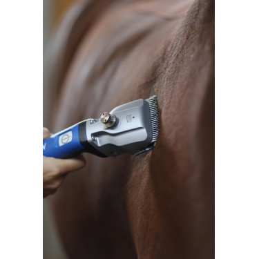 Tondeuse Aesculap Bonum cheval sans fil Tondeuse Aesculap Bonum cheval sans fil
