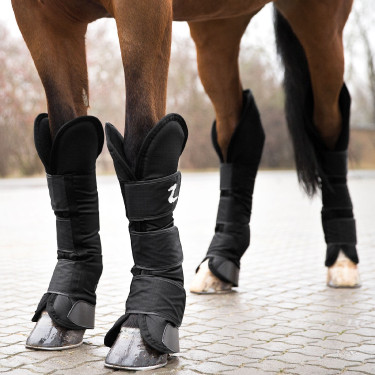 Protège-transport pour chevaux Horze - Sécurité & Confort