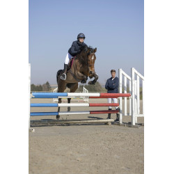 Blouson Pro Series Equilibre Bleu marine