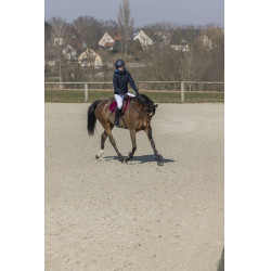 Blouson Pro Series Equilibre Bleu marine