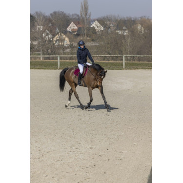 Blouson Pro Series Equilibre Blouson Pro Series Equilibre