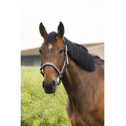 Licol Equithème Air Gris Licol Equithème Air Gris