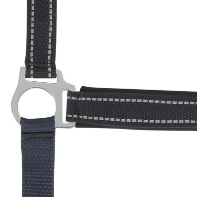 Licol Norton Reflective Bleu marine