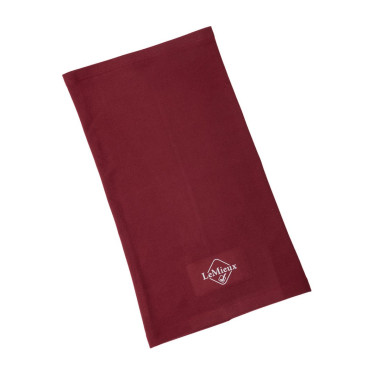 Echarpe tube LeMieux Rioja Violet