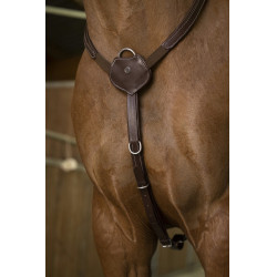 Collier de chasse Norton Pro Confort Collier de chasse Norton Pro Confort