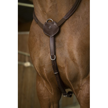 Collier de chasse Norton Pro Confort Collier de chasse Norton Pro Confort