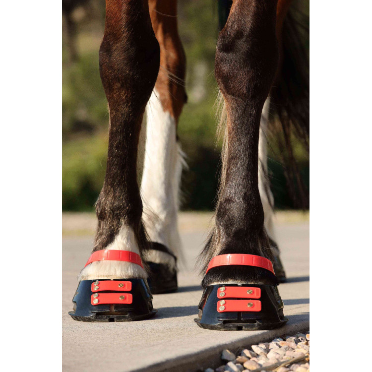 Pack de sangles avant Scoot Boots Pack de sangles avant Scoot Boots