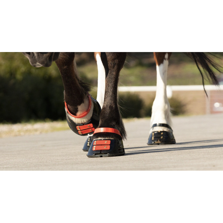 Pack de sangles avant Scoot Boots Pack de sangles avant Scoot Boots