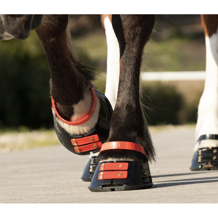 Pack de sangles avant Scoot Boots Pack de sangles avant Scoot Boots