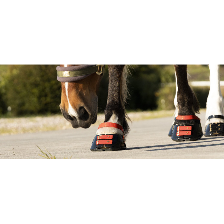 Pack de sangles avant Scoot Boots Pack de sangles avant Scoot Boots