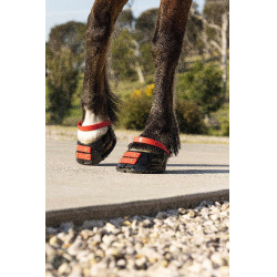 Pack de sangles avant Scoot Boots Hibiscus Rouge