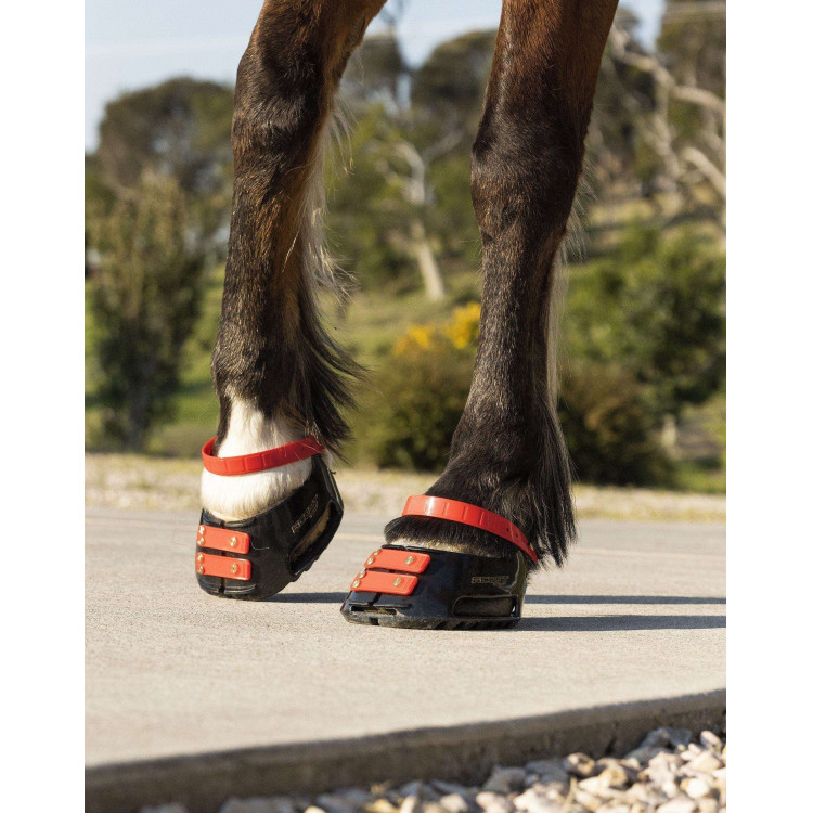 Pack de sangles avant Scoot Boots Pack de sangles avant Scoot Boots