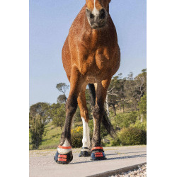 Pack de sangles avant Scoot Boots Hibiscus Rouge