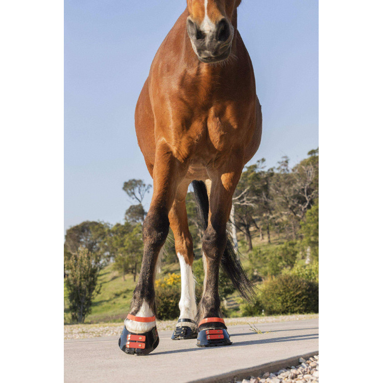 Pack de sangles avant Scoot Boots Pack de sangles avant Scoot Boots
