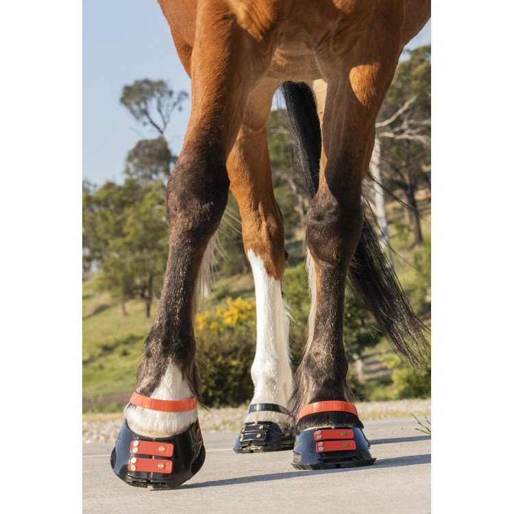 Pack de sangles avant Scoot Boots Pack de sangles avant Scoot Boots