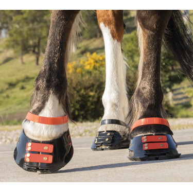 Pack de sangles avant Scoot Boots Pack de sangles avant Scoot Boots
