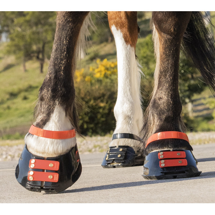 Pack de sangles avant Scoot Boots Pack de sangles avant Scoot Boots