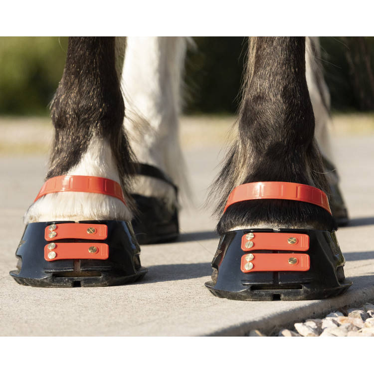 Pack de sangles avant Scoot Boots Pack de sangles avant Scoot Boots