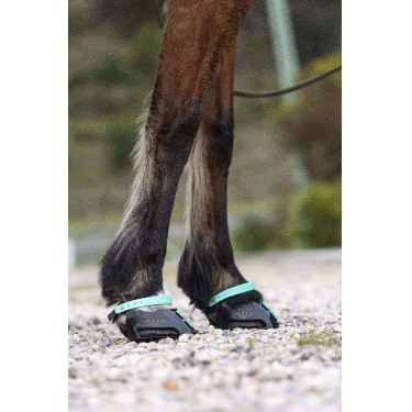Pack de sangles avant Scoot Boots Pack de sangles avant Scoot Boots