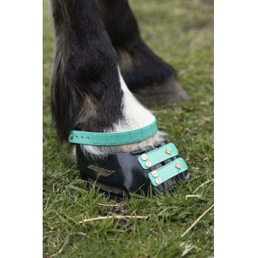 Pack de sangles avant Scoot Boots Pack de sangles avant Scoot Boots