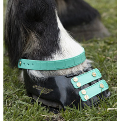 Pack de sangles avant Scoot Boots Aigue marine Bleu