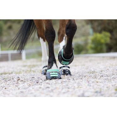 Pack de sangles avant Scoot Boots Pack de sangles avant Scoot Boots