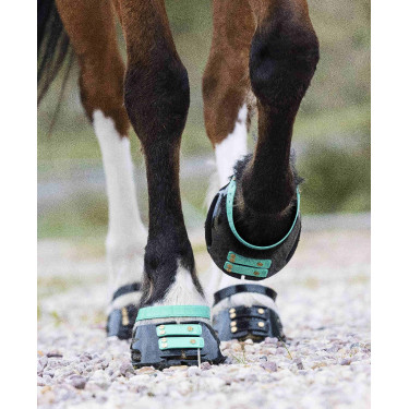 Pack de sangles avant Scoot Boots Pack de sangles avant Scoot Boots