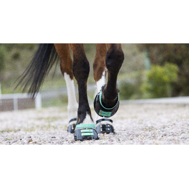 Pack de sangles avant Scoot Boots Pack de sangles avant Scoot Boots