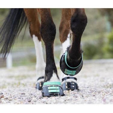 Pack de sangles avant Scoot Boots Pack de sangles avant Scoot Boots