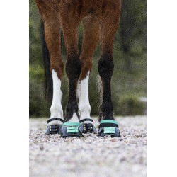 Pack de sangles avant Scoot Boots Aigue marine Bleu