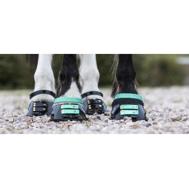 Pack de sangles avant Scoot Boots Pack de sangles avant Scoot Boots