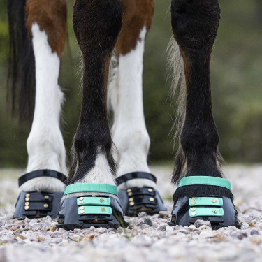 Pack de sangles avant Scoot Boots Pack de sangles avant Scoot Boots
