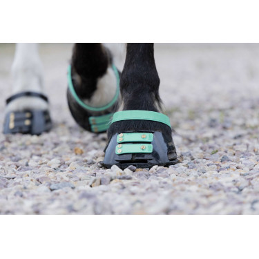 Pack de sangles avant Scoot Boots Pack de sangles avant Scoot Boots