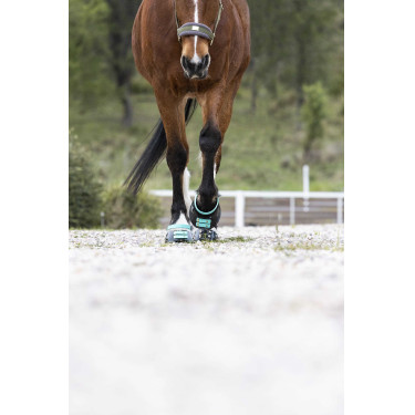 Pack de sangles avant Scoot Boots Pack de sangles avant Scoot Boots