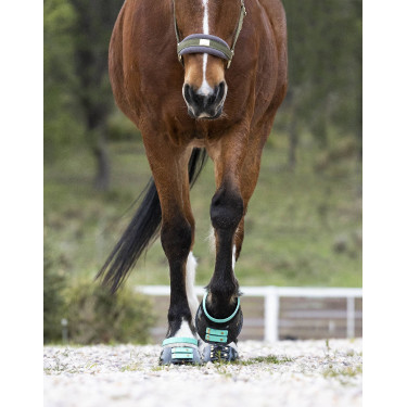 Pack de sangles avant Scoot Boots Pack de sangles avant Scoot Boots
