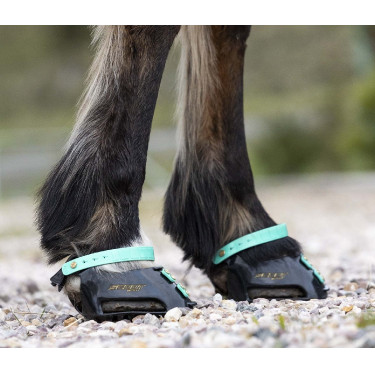 Pack de sangles avant Scoot Boots Pack de sangles avant Scoot Boots