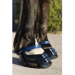 Pack de sangles avant Scoot Boots Bleu marine