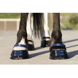 Pack de sangles avant Scoot Boots Bleu marine
