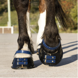 Pack de sangles avant Scoot Boots Bleu marine