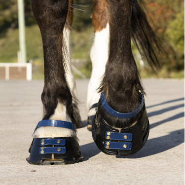 Pack de sangles avant Scoot Boots Pack de sangles avant Scoot Boots