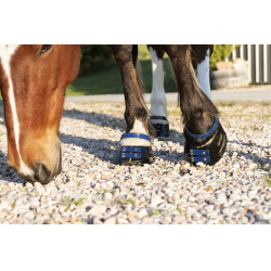 Pack de sangles avant Scoot Boots Bleu marine