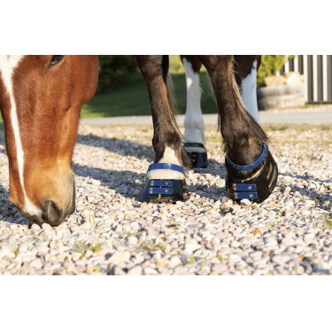Pack de sangles avant Scoot Boots Pack de sangles avant Scoot Boots