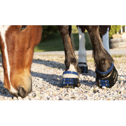 Pack de sangles avant Scoot Boots Bleu marine