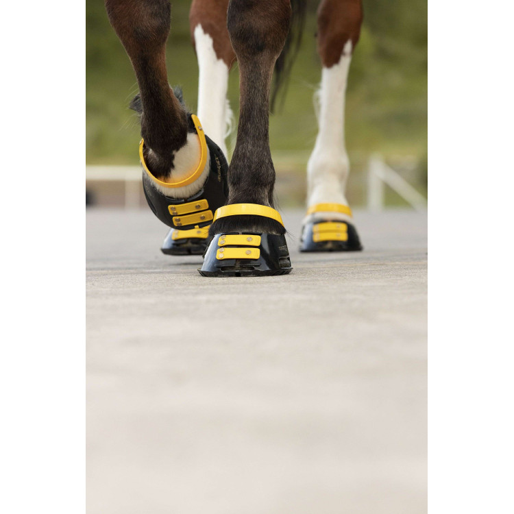 Pack de sangles avant Scoot Boots Pack de sangles avant Scoot Boots