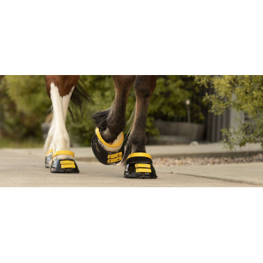 Pack de sangles avant Scoot Boots Marigold Jaune Pack de sangles avant Scoot Boots Marigold Jaune